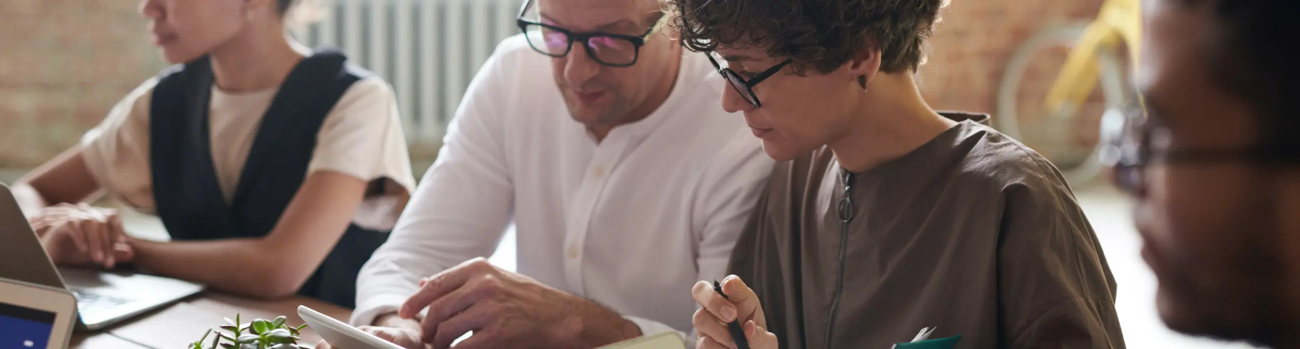 Uzmanlık - Ekip Çalışması